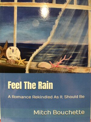 cover image of Feel the Rain